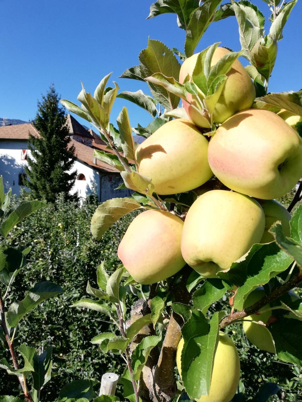 Agritur Ciastel Villa Sanzeno Dış mekan fotoğraf